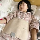 히트 | 사무실 전기방석 1인 엉뜨 온열패드 블루필 히트롤 후기