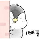 히든코인싱어 노래연습장 이미지