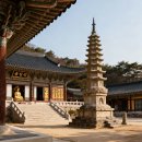 선광사 소장 목판본류 등 불경전적 일괄 | 전국 사찰별 국보 등 문화재 현황 분석📌