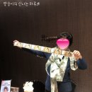 마즈영