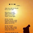 보네일 Daum카페