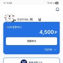 포인트제로 | 💾튼튼머니 제로페이 후기(운동하고 포인트 쌓기)
