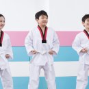 가동태권도 이미지