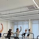 아침을 여는 발레 스트레칭 | 새벽발레 삼송역? 아침형 인간이 되는 가장 우아한 방법