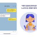 하나애견샵 이미지