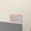 온리퍼피 이미지