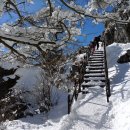 제105차 정기산행 : 경남 산청군 -지리산(1915m) 이미지