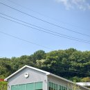 아산선운산작은도서관 | [아산 탕정] 카페 언덕, 도심 속 산책로 있는 카페 (내돈내산 솔직후기)