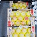 예천농장 이미지