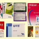 큰마을약국 네이버블로그