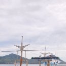 대한호