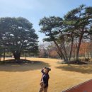 선화통신