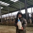 샘뜰목장 이미지