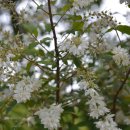 광령초등학교 이미지