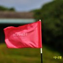 해비치호텔앤드리조트(주) 해비치컨트리클럽(회원제) | 제주도 2인 골프 최고 인기좋은 제주 해비치cc 예약 후기