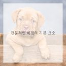 미술감상과 비평 이미지