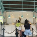 세부 플랜테이션베이 리조트 3박 4일 리뷰! 조식까지 냠! 루트66, 피지레스토랑, 수영장 후기