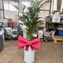 판암동217 이미지