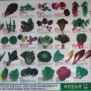 파란들농장 이미지