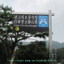 오*관 Daum카페