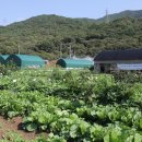 여울농장 이미지