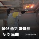 울산 중구 세한프리빌 아파트 누수 원상복구 시공 후기
