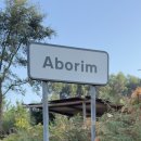 천도로 가로수길 | 2025년 8월 산티아고 포르투갈 내륙길 3일차 Barcelinhos → Ponte de Lima (33.7km)