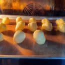 이한펫푸드 이미지