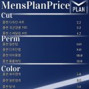 맨즈플랜헤어