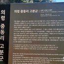 의령 중동리 고분군 이미지