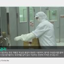 (주)씨제이피 네이버블로그