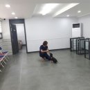 키움 동물병원 이미지