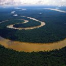 죽기 전에 봐야 할 세계 100대 여행지 ○ 11위 : 아마존분지(Amazon Basin, 브라질 &amp; 페루) 이미지