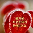 세꼬시회