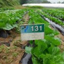 동은유치원 이미지