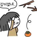 짱놀이터 이미지