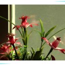 무주종합복지관 이미지