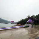 신안행정사사무소 이미지
