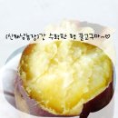 신해남농장 네이버블로그