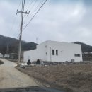 햄릿과 올리브 이미지