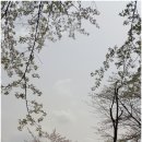 하남시교통약자이동지원센터-나눔콜 이미지