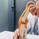 서울대본정형외과의원 | [공지] '그냥 진료'는 안 합니다. 끝까지 봅니다 -서울대입구정형외과의원