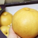 금배농장 이미지