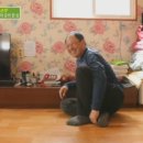 삽시도통나무펜션 이미지