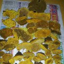 뽕나무민박 이미지