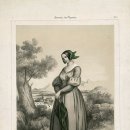 파리의상실 이미지