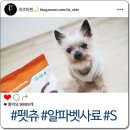 우수사료 이미지