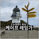 뉴질랜드 최북단 케이프 레잉가 Cape Reinga 투어 후기 #1