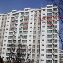 정관5로 이미지