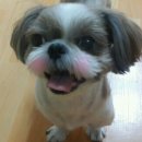 똘이언니 네이버블로그